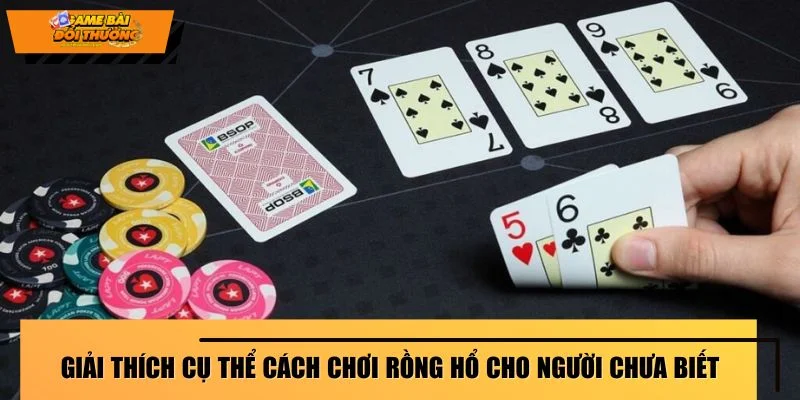 Giải thích cụ thể cách chơi Rồng Hổ cho người chưa biết