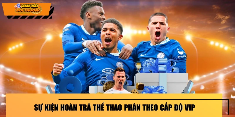 hoan-tra-the-thao-su-kien-theo-cap-do-vip