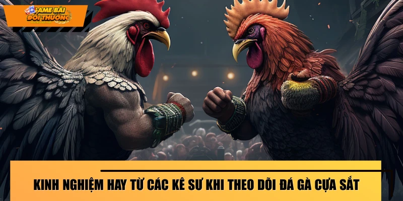 kinh-nghiem-hay-tu-cac-ke-su-khi-theo-doi-da-ga-cua-sat